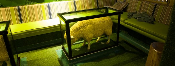 Sheep in a Glass Table! Anything goes!